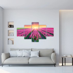Obraz pole tulipanów ze słońcem (125x70 cm)