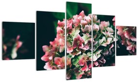 Obraz - Fragment Hortensji (125x70 cm)