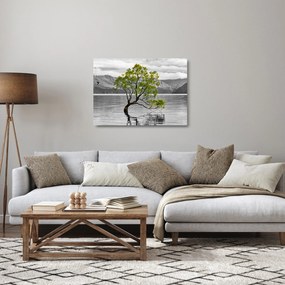 Obraz na szkle drzewa na środku jeziora (70x50 cm)