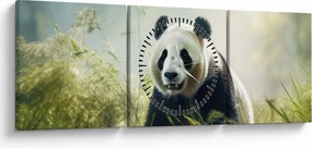 Obraz - Panda (z zegarem) (90x30 cm)