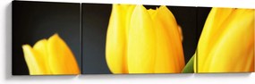 Obraz tulipanów (170x50 cm)