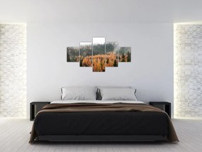 Obraz - Jesienny las (125x70 cm)