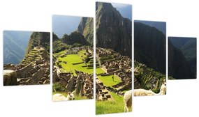 Obraz - Lamy na Machu Picchu (125x70 cm)