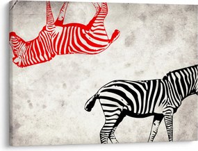 Obraz - Zebry (70x50 cm)