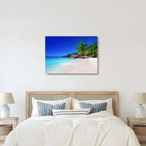 Obraz na szkle - plaża na wyspie Praslin (70x50 cm)