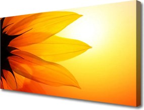 Zdjęcie na płótnie Piękno Natury: Kwiat