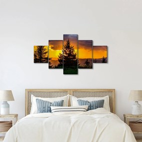 Obraz - drzewa iglaste (125x70 cm)