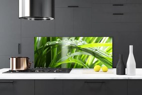 Panel nad blat kuchenny Perlista Rosa na Trawie