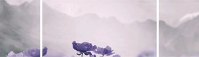 Obraz - Fioletowe kwiaty w górach (170x50 cm)