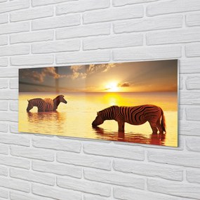 Szklany Panel Zebry przy Wodopoju o Zmierzchu