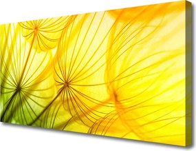 Obraz canvas Puszyste Kule Dmuchawców