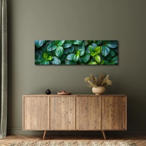 Obraz - Rośliny zielone (170x50 cm)