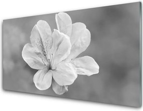 Obraz Akrylowy Kwiaty Roślina