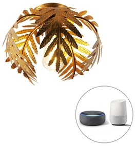 Inteligentna lampa sufitowa w stylu vintage złota 24 cm z WiFi ST64 - Botanica Retro Oswietlenie wewnetrzne