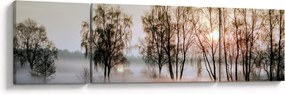 Obraz - Poranna suchość (170x50 cm)
