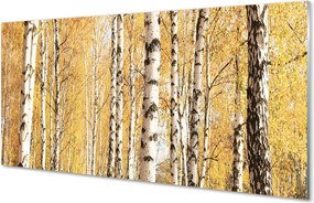 Panel szklany do Kuchni Barwy Jesiennego Lasu