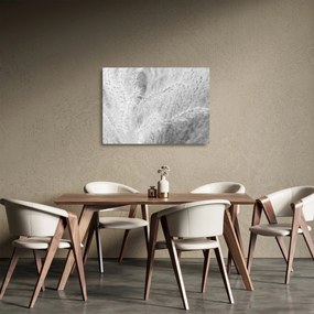 Obraz na szkle - Trawa pampasowa N⁰1 (70x50 cm)