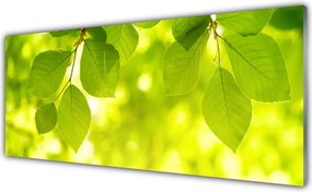 Panel Kuchenny Zielone Liście W Stylu Modern