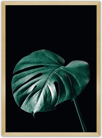 Plakat Dark Monstera