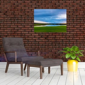 Obraz łąki (70x50 cm)