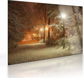 Obraz na szkle - Zaśnieżony park (70x50 cm)
