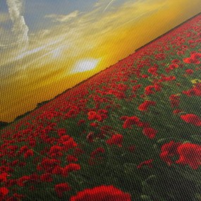 Obraz pola maków (z zegarem) (90x30 cm)