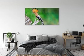 Duży obraz na płótnie Papuga na Drzewie