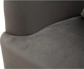 Szary aksamitny fotel Silvery – Mauro Ferretti