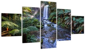 Obraz australijskiego lasu deszczowego (125x70 cm)