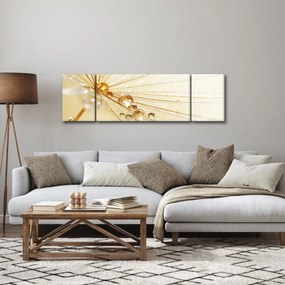 Obraz - Zdjęcie makro mniszka lekarskiego (170x50 cm)