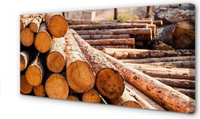 Obraz na płótnie Składowisko Świeżych Bali