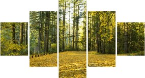 Obraz - las jesienią (125x70 cm)