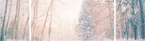 Obraz - Widok na las (170x50 cm)
