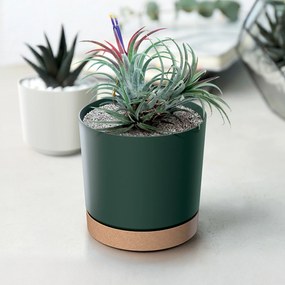 Donica ogrodowa Tubo PM 23,9 cm zielona pinia PROSPERPLAST