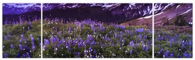 Obraz - Wulkan i kwiaty (170x50 cm)