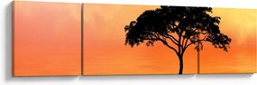 Obraz drzewa o zachodzie słońca (170x50 cm)