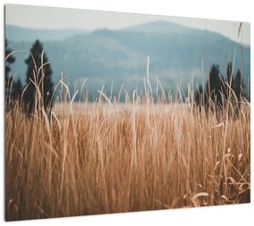Obraz - szczegół łąki (70x50 cm)