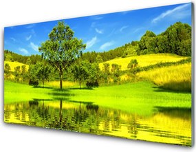 Szkło do Kuchni na Ścianę Samotne Drzewo na Polanie