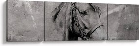 Obraz - Portret konia (170x50 cm)