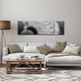 Obraz dmuchawca, czarno - biały (170x50 cm)