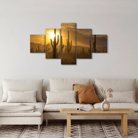 Obraz - Kaktusy Saguaro (125x70 cm)