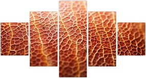 Obraz - Szczegóły tekstury (125x70 cm)