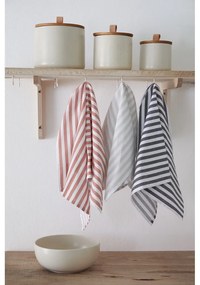 Bawełniane ścierki zestaw 2 szt. 50x70 cm Stripes – Casafina