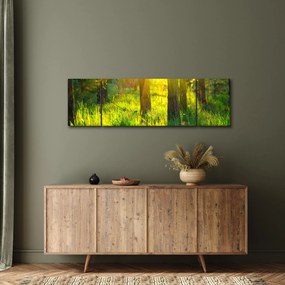 Obraz - Wiosenne przebudzenie lasu (170x50 cm)