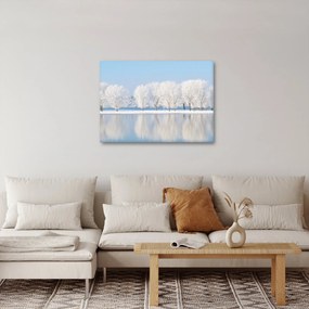 Obraz zimowego krajobrazu (70x50 cm)