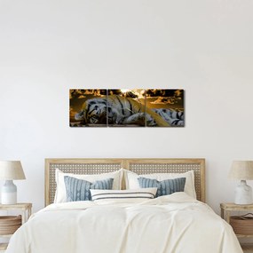 Obraz śpiącego tygrysa (z zegarem) (90x30 cm)