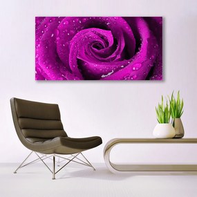 Obraz na płótnie Aksamitna Róża w Deszczu