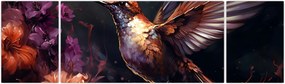 Obraz - Koliber (170x50 cm)