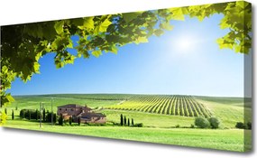 Zdjęcie na płótnie Jesienne Pole pełne Liści