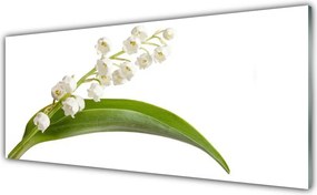 Panel Kuchenny Letnia Kompozycja Kwiatowa